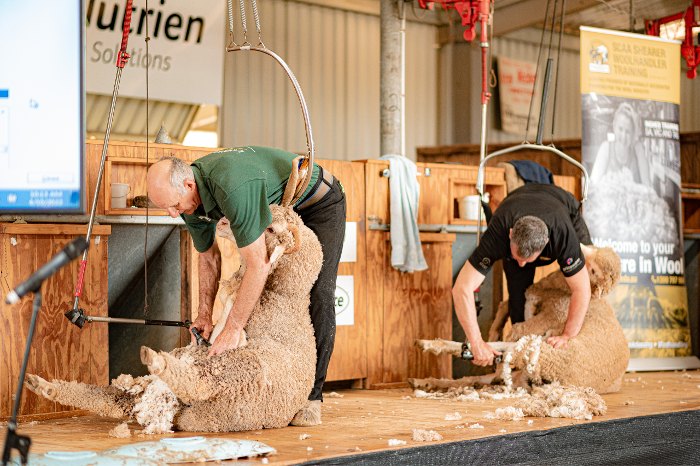 Shearing Shed Displays